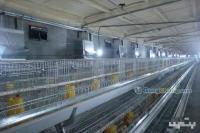 供應育雛升溫鍋爐 農副產品領域的可靠選擇