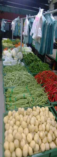 長沙農副產品配送 連接田野與餐桌的現代橋梁